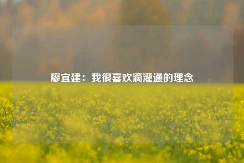 廖宜建：我很喜欢滴灌通的理念