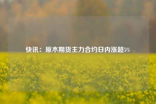 快讯：原木期货主力合约日内涨超5%