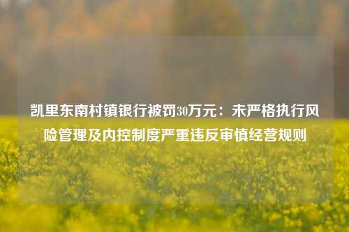 凯里东南村镇银行被罚30万元：未严格执行风险管理及内控制度严重违反审慎经营规则