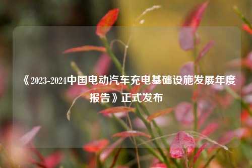 《2023-2024中国电动汽车充电基础设施发展年度报告》正式发布