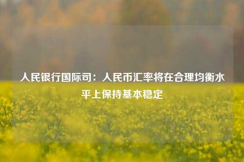 人民银行国际司：人民币汇率将在合理均衡水平上保持基本稳定