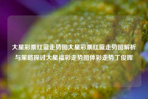 大星彩票红蓝走势图大星彩票红蓝走势图解析与策略探讨大星福彩走势图体彩走势丁俊晖