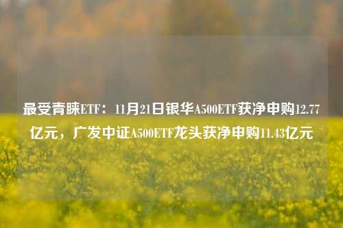 最受青睐ETF：11月21日银华A500ETF获净申购12.77亿元，广发中证A500ETF龙头获净申购11.43亿元