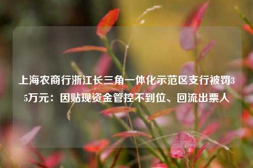 上海农商行浙江长三角一体化示范区支行被罚35万元：因贴现资金管控不到位、回流出票人