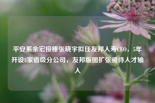 平安系余宏接棒张晓宇拟任友邦人寿CEO，5年开设8家省级分公司，友邦版图扩张亟待人才输入