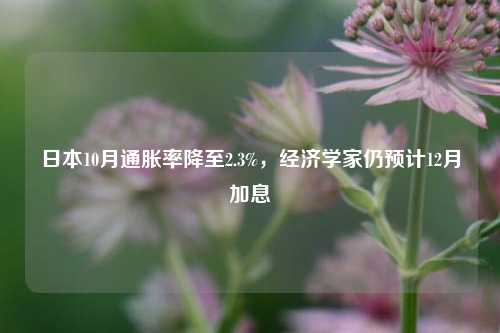 日本10月通胀率降至2.3%，经济学家仍预计12月加息