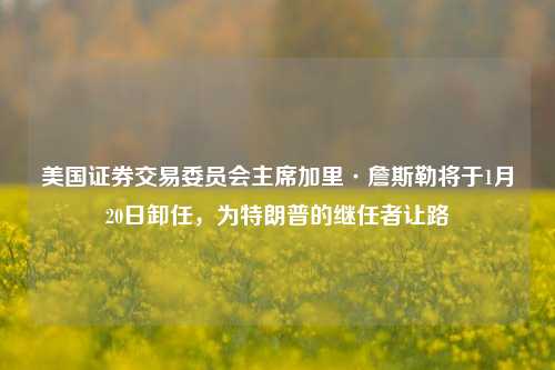 美国证券交易委员会主席加里·詹斯勒将于1月20日卸任，为特朗普的继任者让路