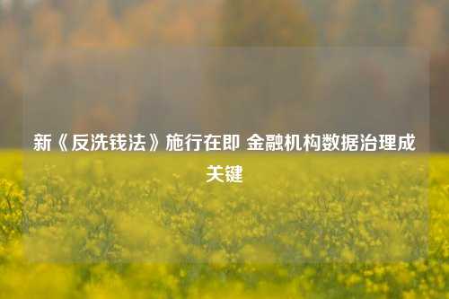 新《反洗钱法》施行在即 金融机构数据治理成关键