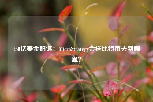 150亿美金阳谋：MicroStrategy会送比特币去到哪里？