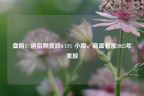 盘前：道指期货跌0.13% 小摩、高盛看涨2025年美股