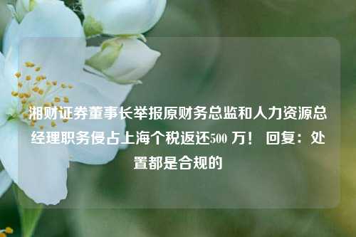 湘财证券董事长举报原财务总监和人力资源总经理职务侵占上海个税返还500 万！ 回复：处置都是合规的