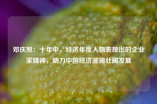 邓庆旭：十年中，经济年度人物表现出的企业家精神，助力中国经济波澜壮阔发展