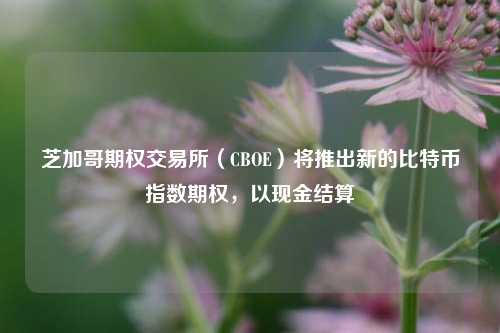 芝加哥期权交易所（CBOE）将推出新的比特币指数期权，以现金结算