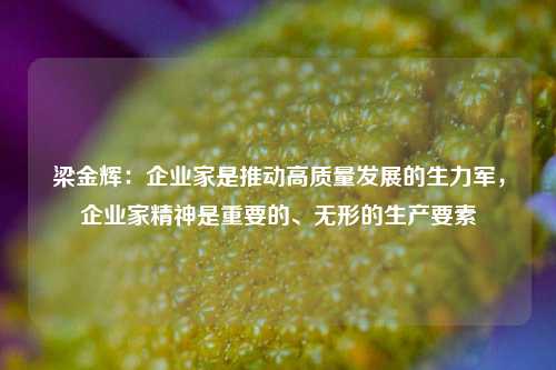 梁金辉：企业家是推动高质量发展的生力军，企业家精神是重要的、无形的生产要素