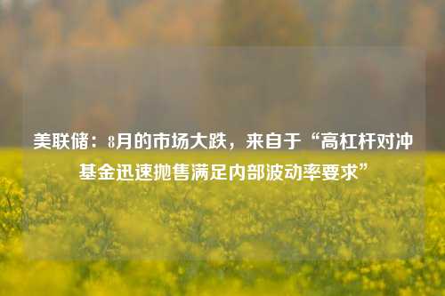 美联储：8月的市场大跌，来自于“高杠杆对冲基金迅速抛售满足内部波动率要求”