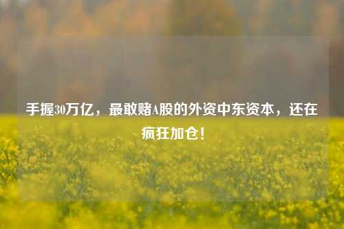 手握30万亿，最敢赌A股的外资中东资本，还在疯狂加仓！