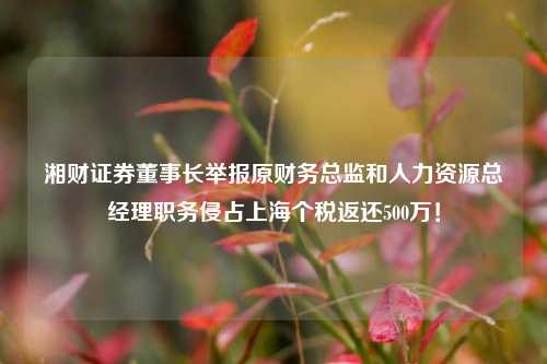 湘财证券董事长举报原财务总监和人力资源总经理职务侵占上海个税返还500万！