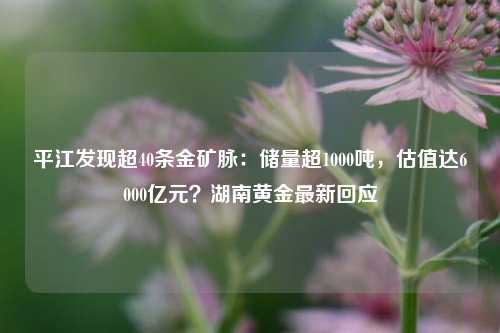 平江发现超40条金矿脉：储量超1000吨，估值达6000亿元？湖南黄金最新回应