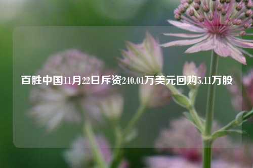 百胜中国11月22日斥资240.01万美元回购5.11万股