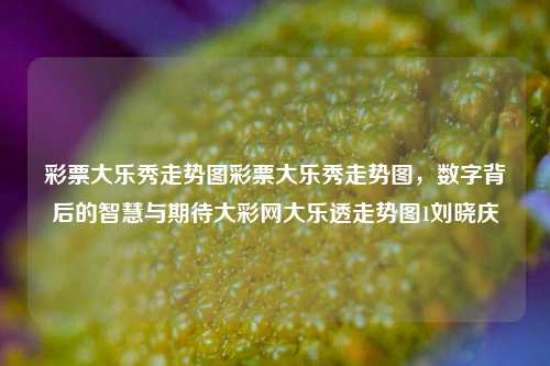 彩票大乐秀走势图彩票大乐秀走势图，数字背后的智慧与期待大彩网大乐透走势图1刘晓庆