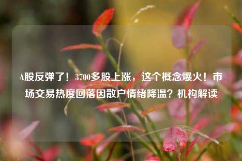 A股反弹了！3700多股上涨，这个概念爆火！市场交易热度回落因散户情绪降温？机构解读