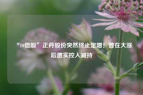 “10倍股”正丹股份突然终止定增！曾在大涨后遭实控人减持