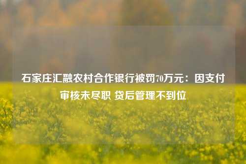 石家庄汇融农村合作银行被罚70万元：因支付审核未尽职 贷后管理不到位