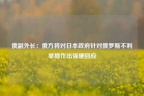 俄副外长：俄方将对日本政府针对俄罗斯不利举措作出强硬回应