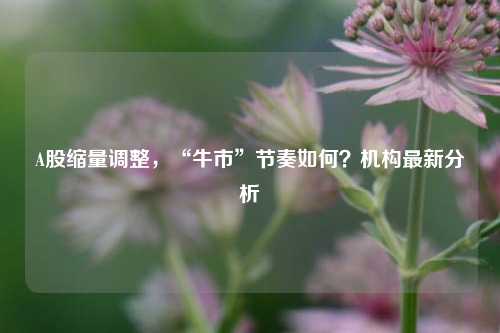 A股缩量调整，“牛市”节奏如何？机构最新分析