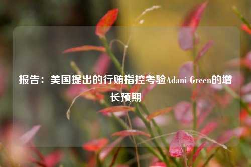 报告：美国提出的行贿指控考验Adani Green的增长预期