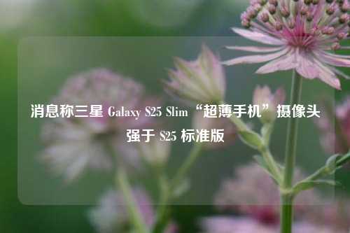 消息称三星 Galaxy S25 Slim“超薄手机”摄像头强于 S25 标准版