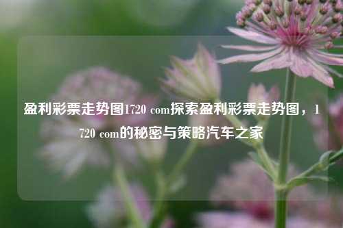 盈利彩票走势图1720 com探索盈利彩票走势图，1720 com的秘密与策略汽车之家