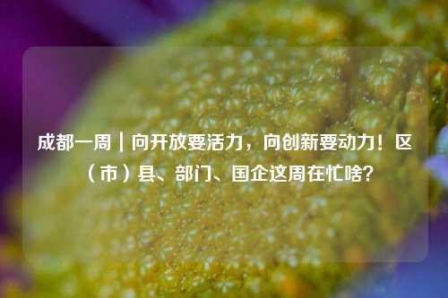 成都一周｜向开放要活力，向创新要动力！区（市）县、部门、国企这周在忙啥？