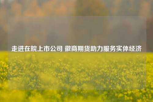 走进在皖上市公司 徽商期货助力服务实体经济