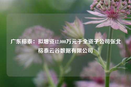 广东榕泰：拟增资12,000万元于全资子公司张北榕泰云谷数据有限公司