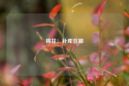 棉花：补库在即