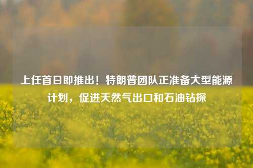 上任首日即推出！特朗普团队正准备大型能源计划，促进天然气出口和石油钻探