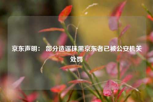 京东声明： 部分造谣抹黑京东者已被公安机关处罚