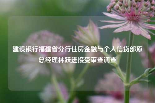 建设银行福建省分行住房金融与个人信贷部原总经理林跃进接受审查调查