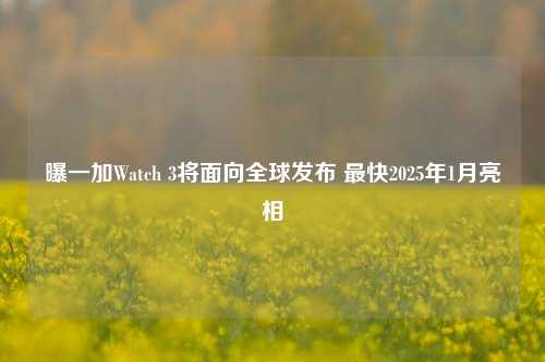 曝一加Watch 3将面向全球发布 最快2025年1月亮相