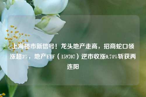 上海楼市新信号！龙头地产走高，招商蛇口领涨超3%，地产ETF（159707）逆市收涨0.74%斩获两连阳