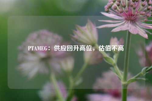 PTAMEG：供应回升高位，估值不高