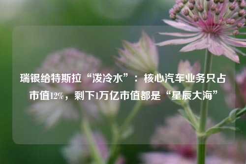 瑞银给特斯拉“泼冷水”：核心汽车业务只占市值12%，剩下1万亿市值都是“星辰大海”