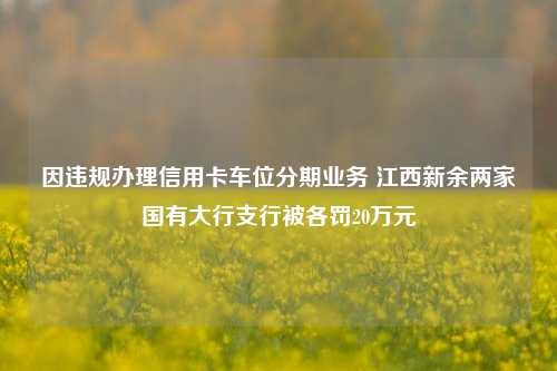 因违规办理信用卡车位分期业务 江西新余两家国有大行支行被各罚20万元