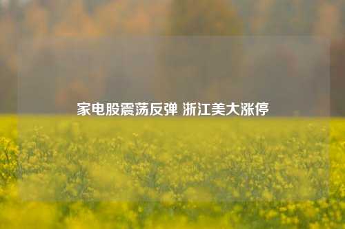 家电股震荡反弹 浙江美大涨停