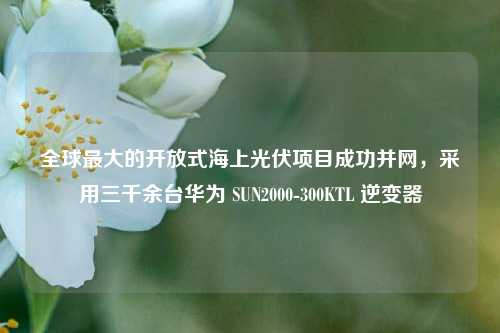 全球最大的开放式海上光伏项目成功并网，采用三千余台华为 SUN2000-300KTL 逆变器