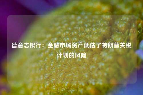 德意志银行：金融市场资产低估了特朗普关税计划的风险