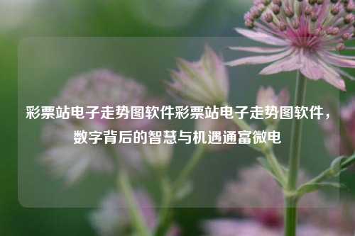 彩票站电子走势图软件彩票站电子走势图软件，数字背后的智慧与机遇通富微电