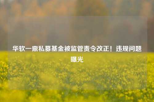 华软一鼎私募基金被监管责令改正！违规问题曝光