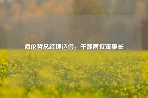 海伦哲总经理造假，干翻两位董事长